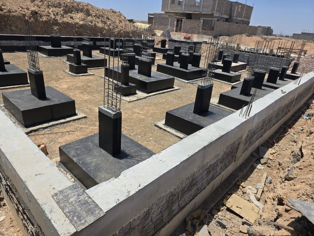 ⁦دادكو برايمر⁩ - الصورة ⁦2⁩